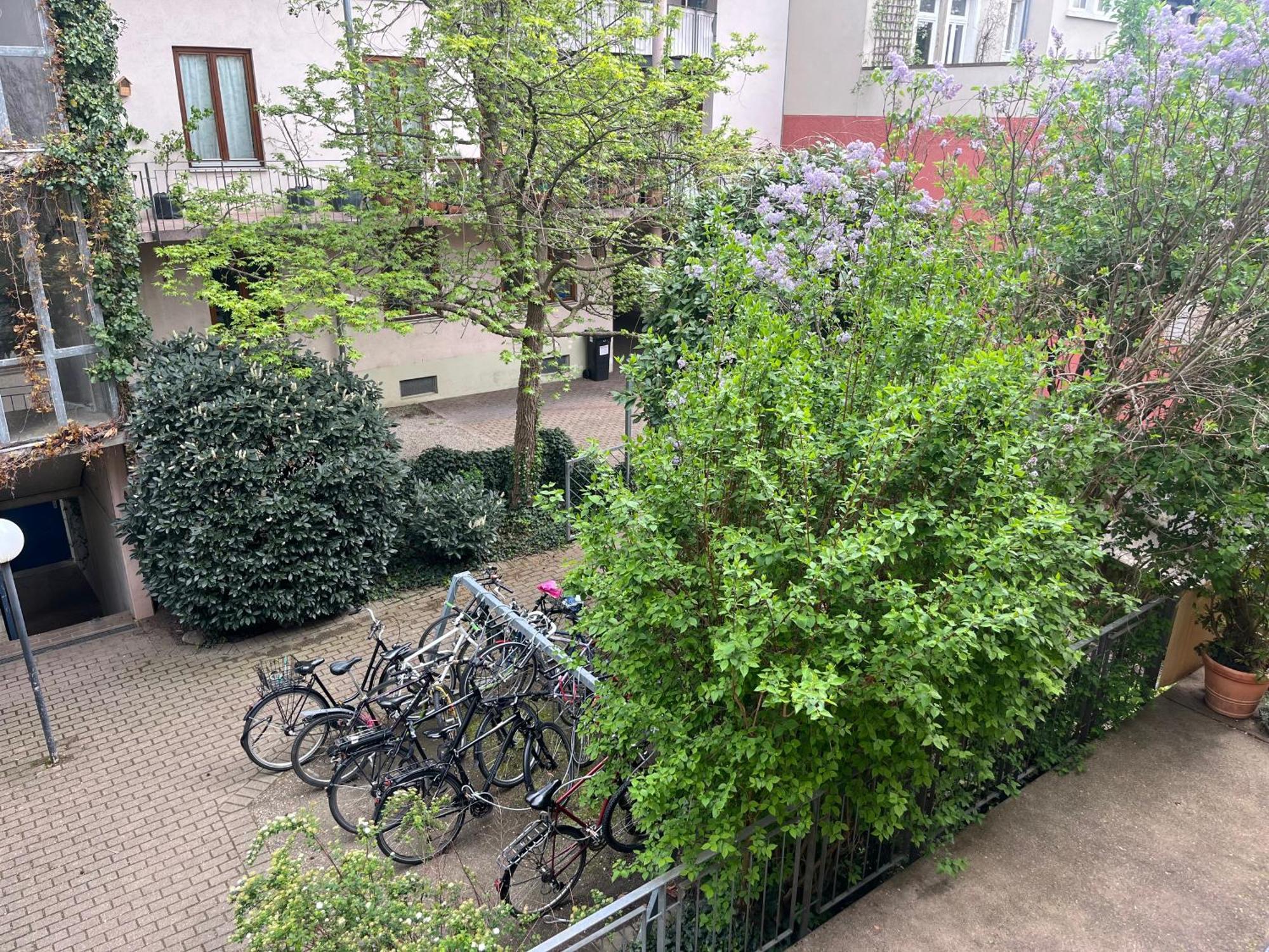 Haus Schoenwald Freiburg im Breisgau Buitenkant foto