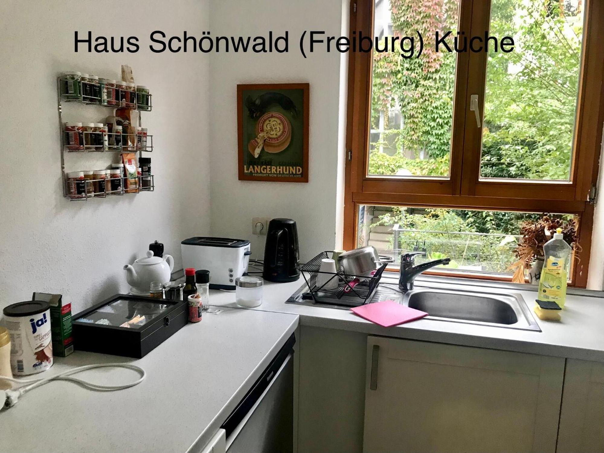 Haus Schoenwald Freiburg im Breisgau Buitenkant foto