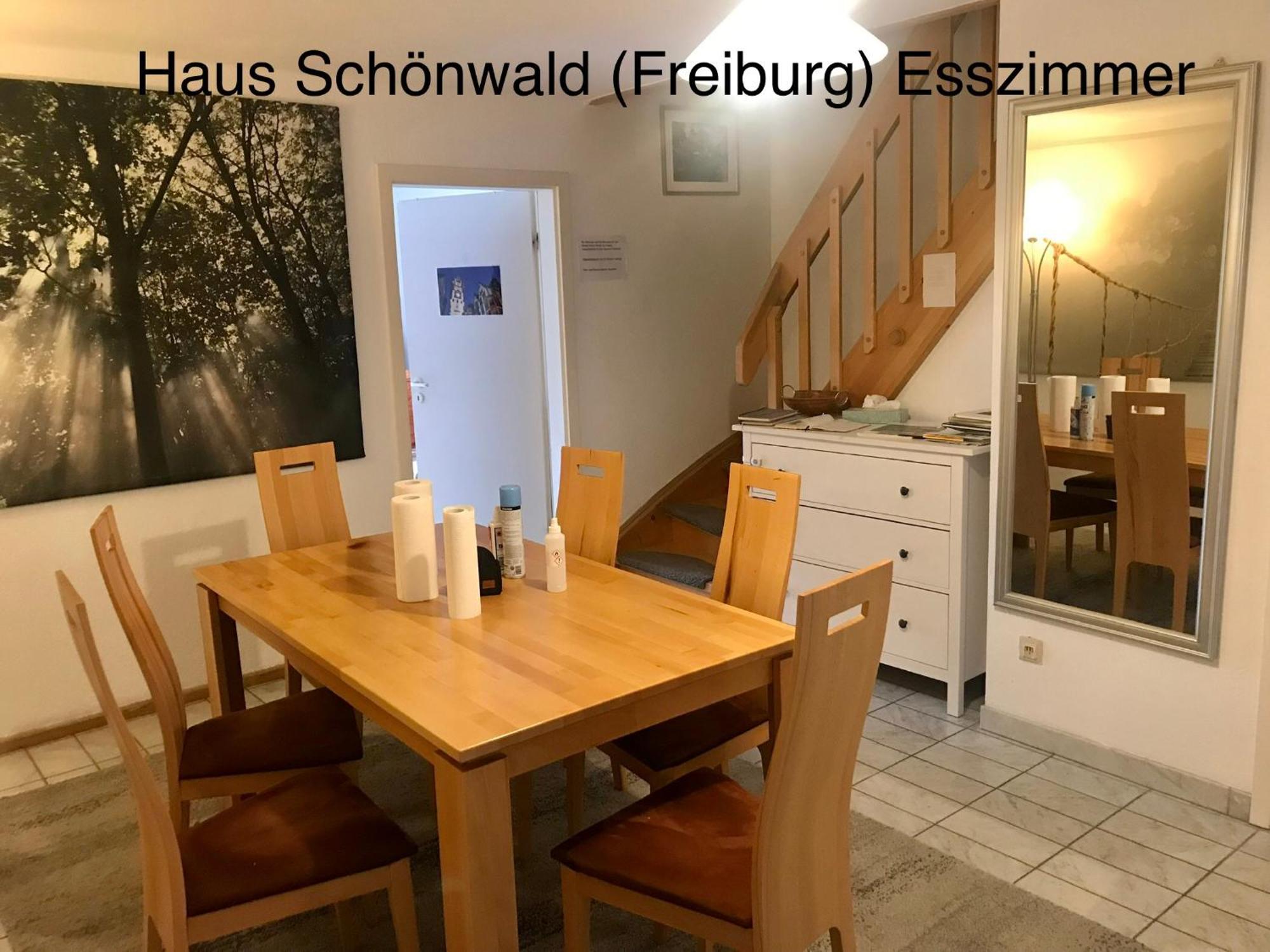 Haus Schoenwald Freiburg im Breisgau Buitenkant foto