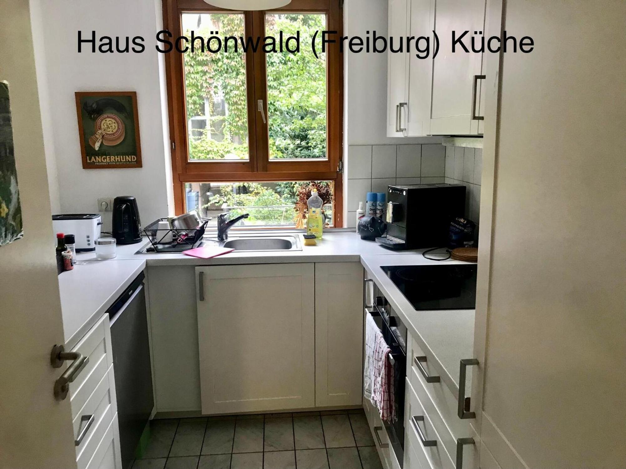 Haus Schoenwald Freiburg im Breisgau Buitenkant foto