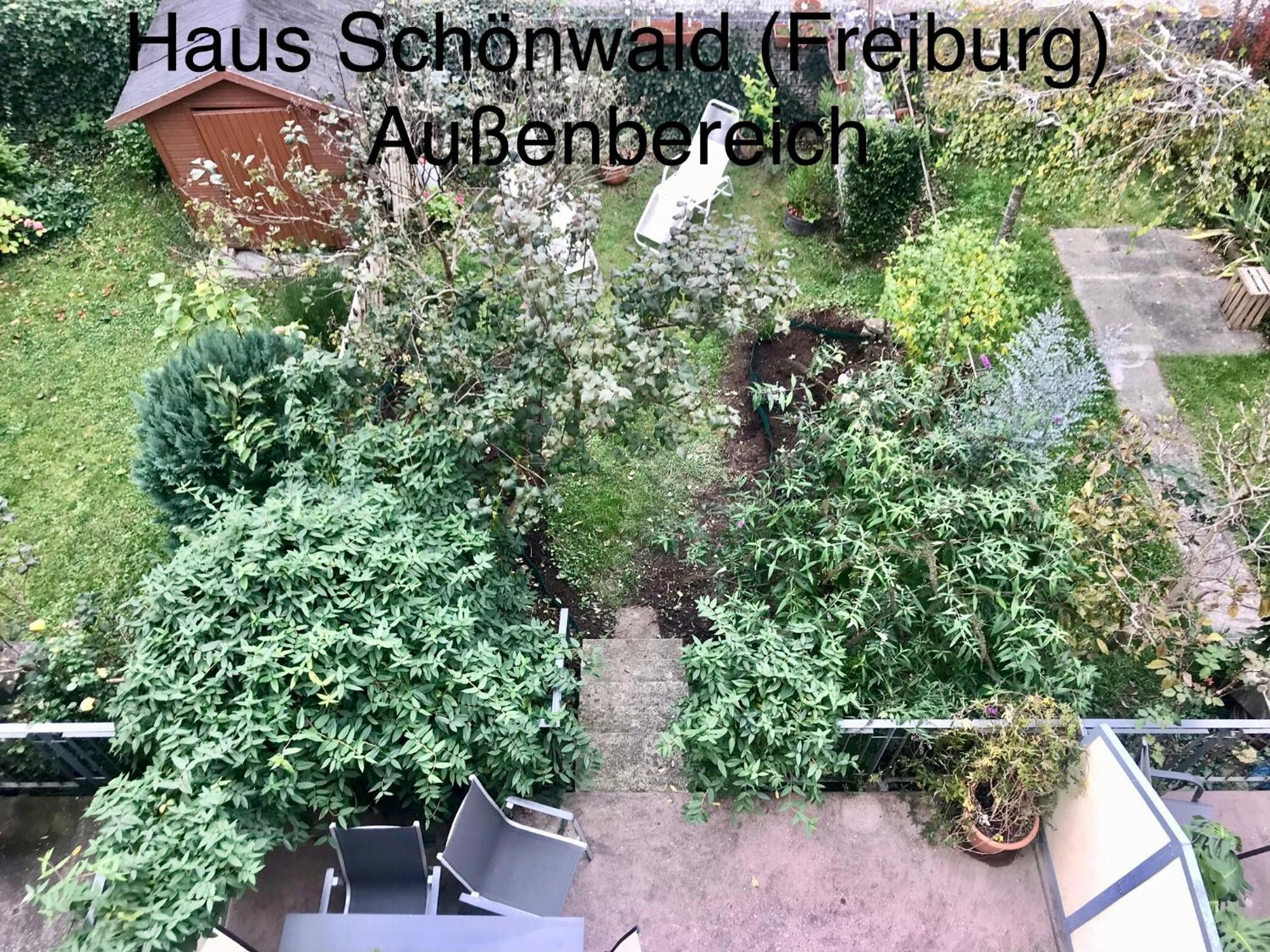 Haus Schoenwald Freiburg im Breisgau Buitenkant foto